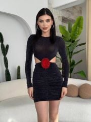 Sarih Gül Detaylı Elbise